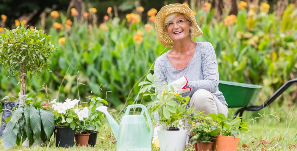 Happy grandmother gardening on a sunny day