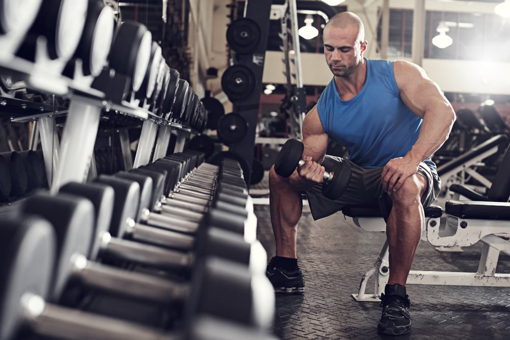 bodybuilder working out with bumbbells weights at the gym